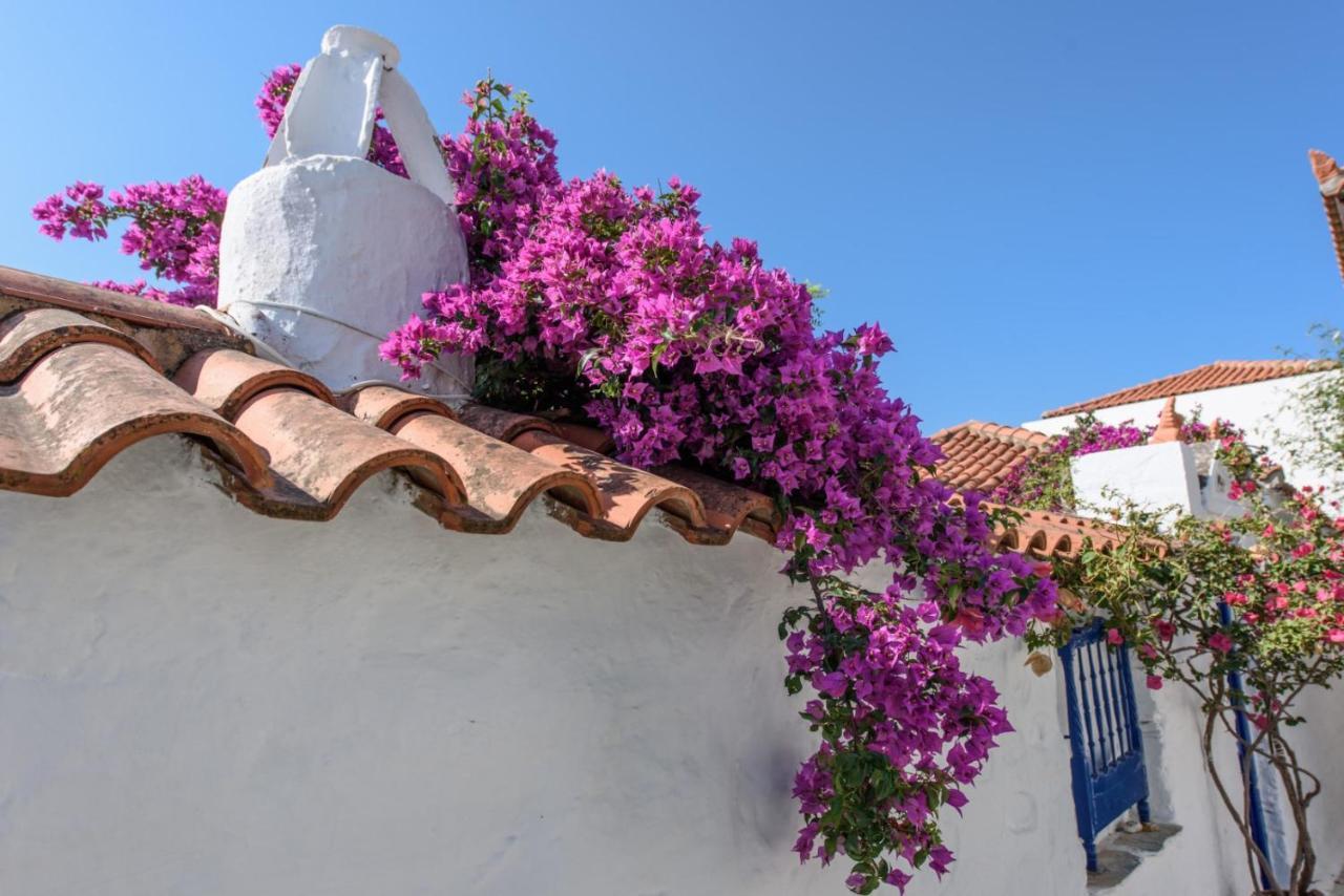 Villea Seaview Apartments Skopelos Town Ngoại thất bức ảnh